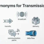 Synonyms for Transmission