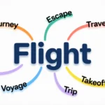 Synonyms for Flight