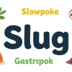 Synonyms for Slug