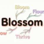 Synonyms for Blossom