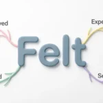 Synonyms of Felt