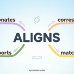 Aligns Synonym