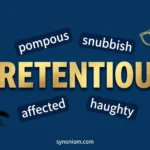 Pretentious Synonym