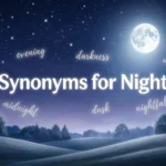 synonyms for night