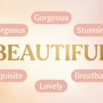 Synonyms for Beautiful