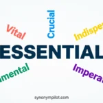Synonyms for Essential