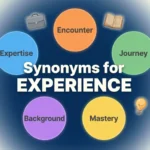 Synonyms for Experience