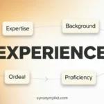 Synonyms for Experience