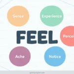 Synonyms for Feel