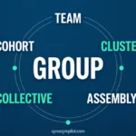 Synonyms for Group