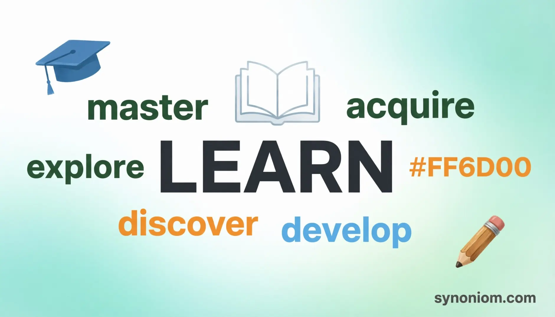 Synonyms for Learn