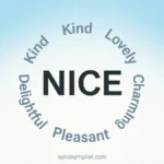 Synonyms for Nice