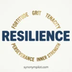 Synonyms for Resilience