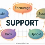 Synonyms for Support