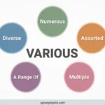 Synonyms for Various
