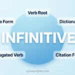 Synonyms of Infinitive