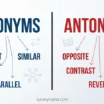 What Are Synonyms and Antonyms